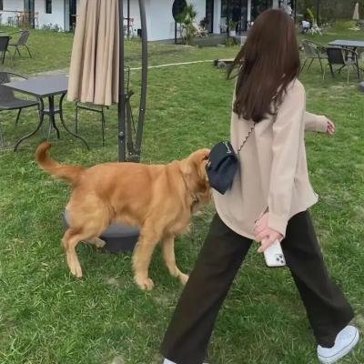 小象情缘 在线观看